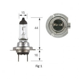 AMPOULE H7 24V 70W PX26d  OEM:  13972